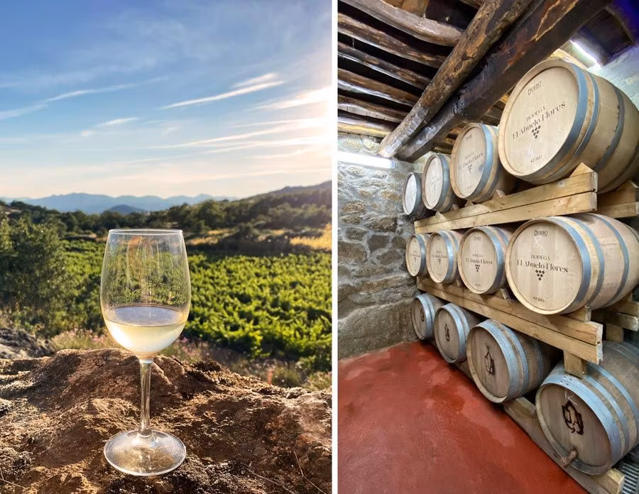 bodega el abuelo flores