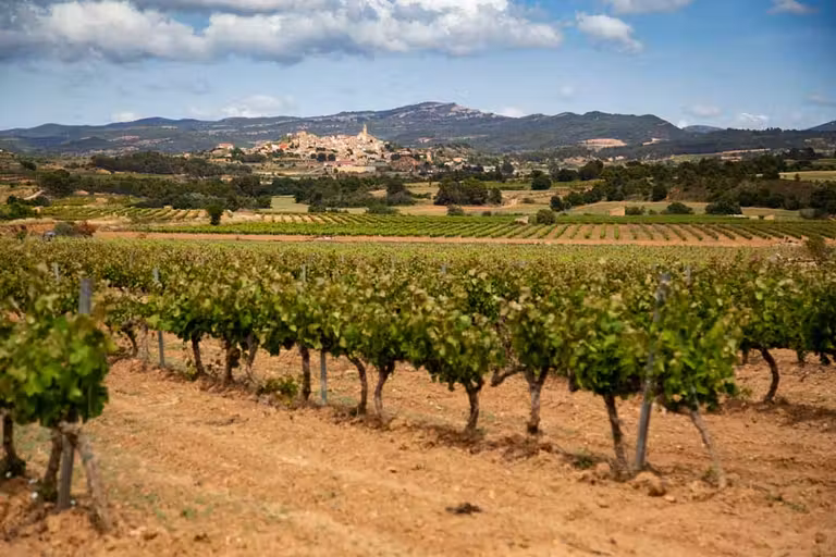 pueblo medieval y viñas