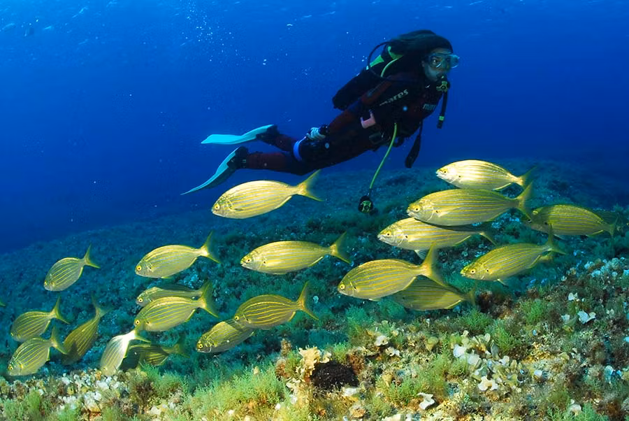 buceo, esnórquel, formentera