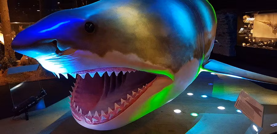 Schlossmuseum, museos linz, linz, que ver en linz, calles de link, visitas de Linz, viaje a austria,