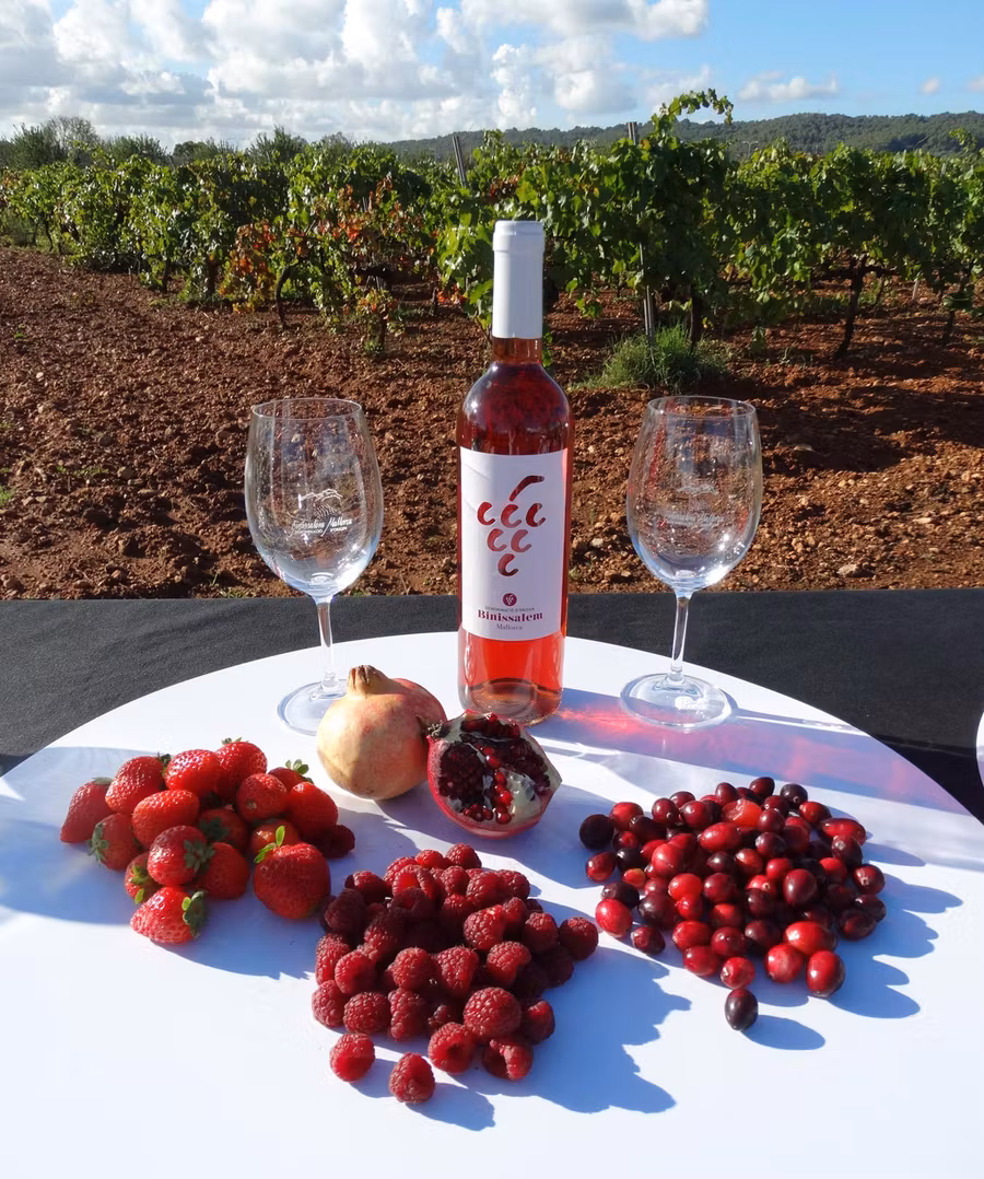 Maridaje de vino rosado y frutos rojos