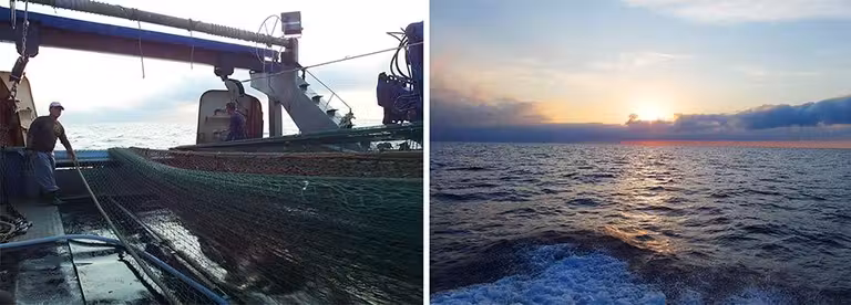 actvidades pescaturismo castellon