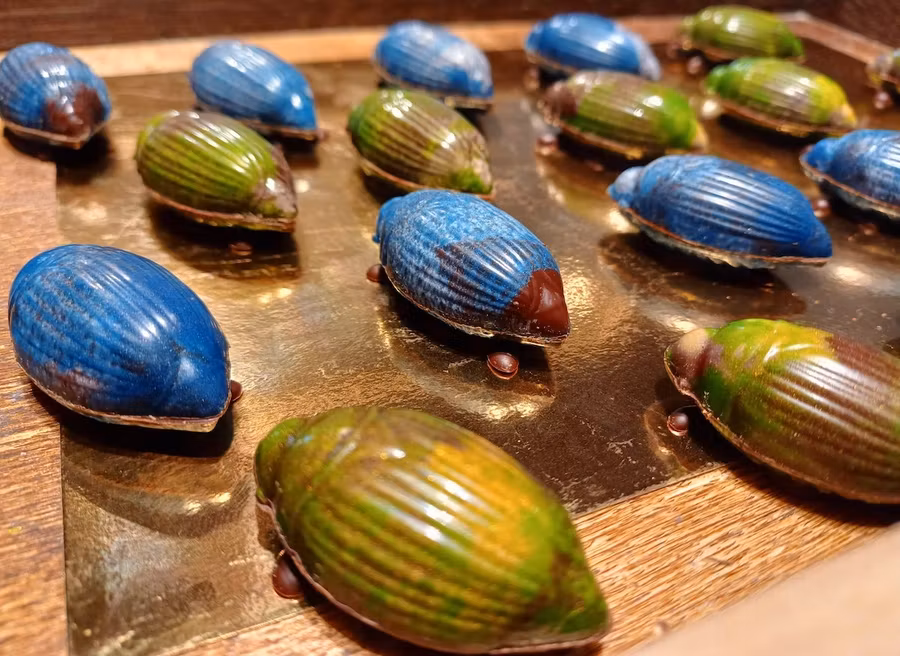 Pralinés de escarabajo, una de las delicatessen de Mmm Malinas