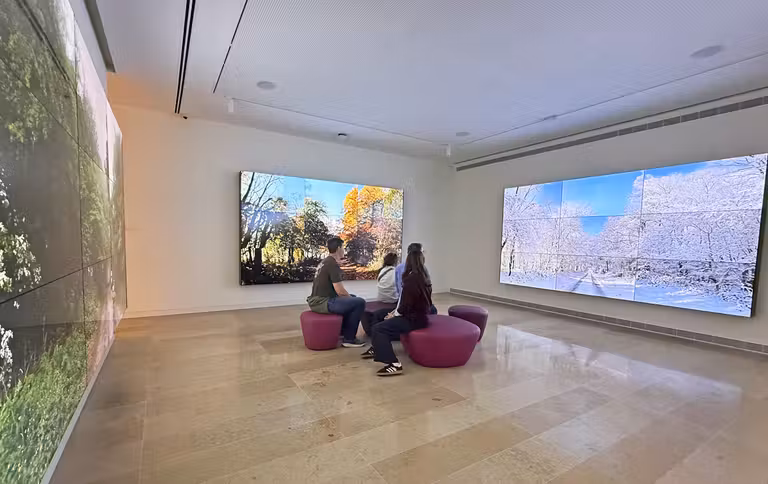 Sala 12, con la obra ‘The four seasons’ de David Hockney. © Susana García