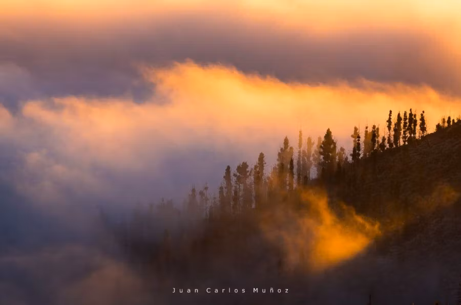 Amanece en el P.N. del Teide.