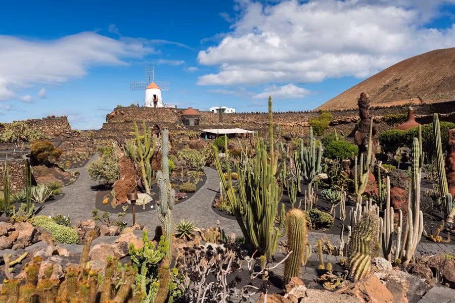 Jardín de Cactus en Lanzarote.