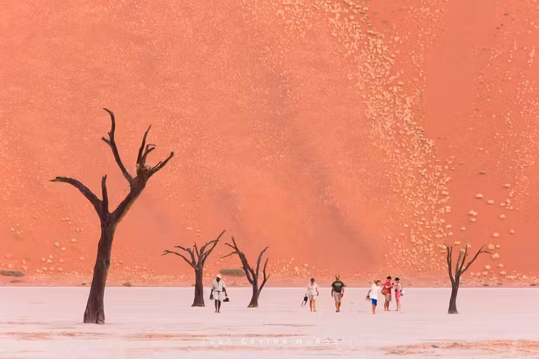 Deadvlei, Sossus Vlei, Desierto Namib, Namibia, Africa