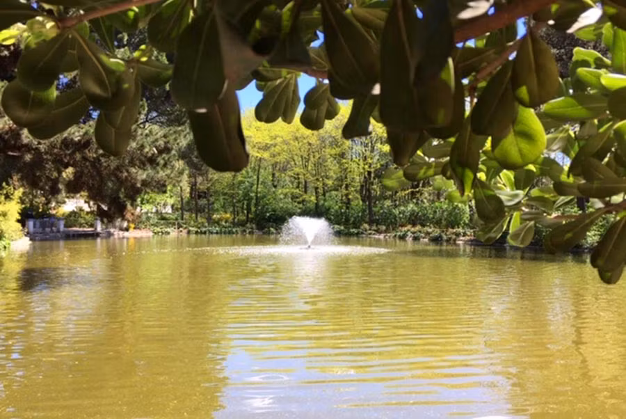 Lago de Quinta de los Molinos.