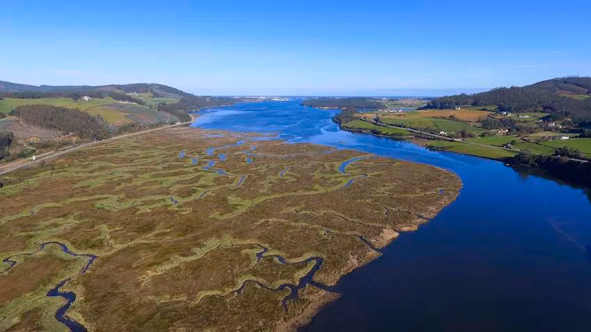 Humedal de la Ría de Ribadeo.
