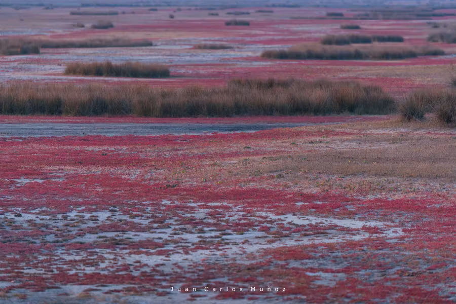 Esta gran estepa se transforma con las crecidas del río.