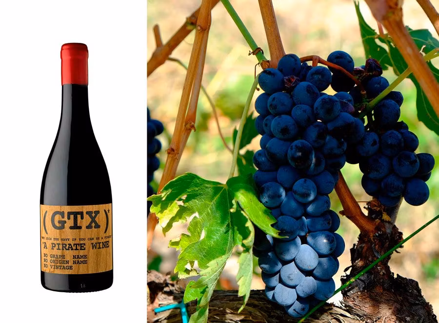 escapada con amigos, vinos de moda, salidas con amigos, barbacoa