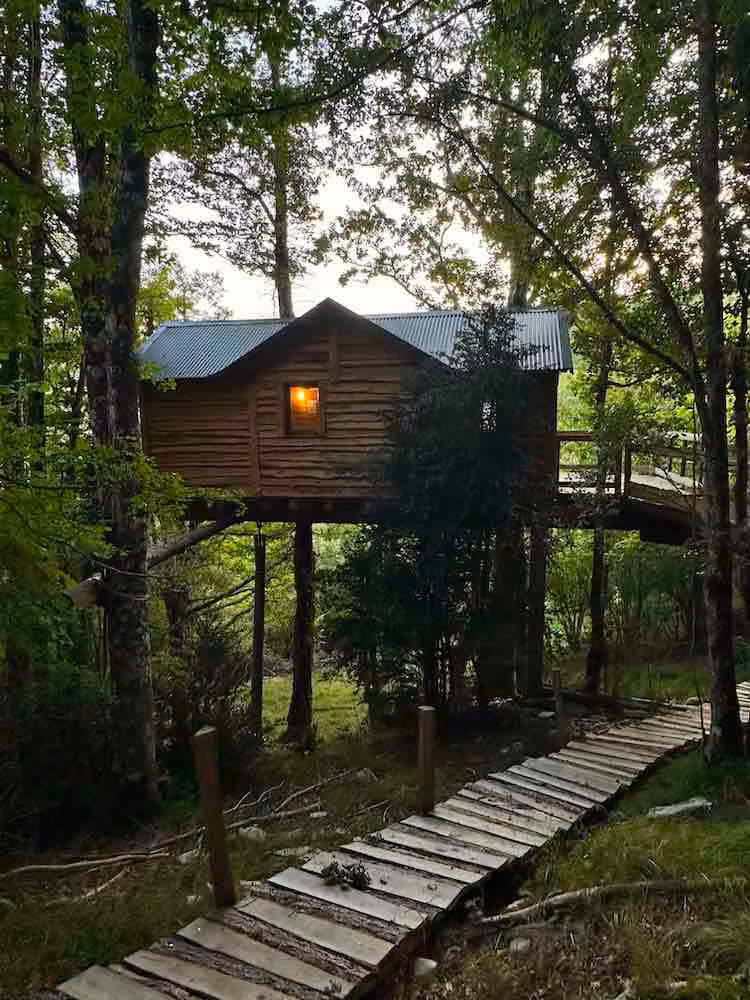 Las cabañas se encuentran dentro de un frondoso bosque.