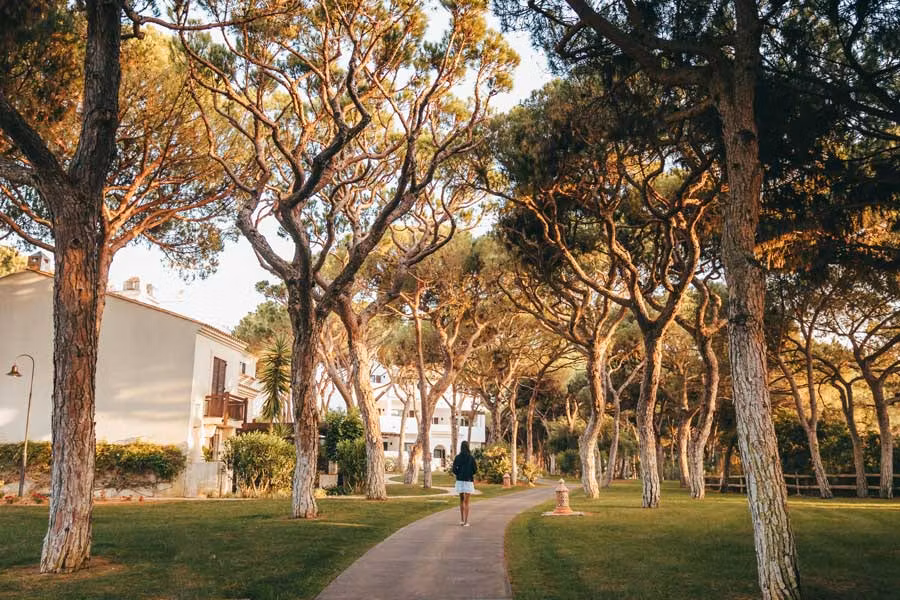 Senderos del Pine Cliffs Resort