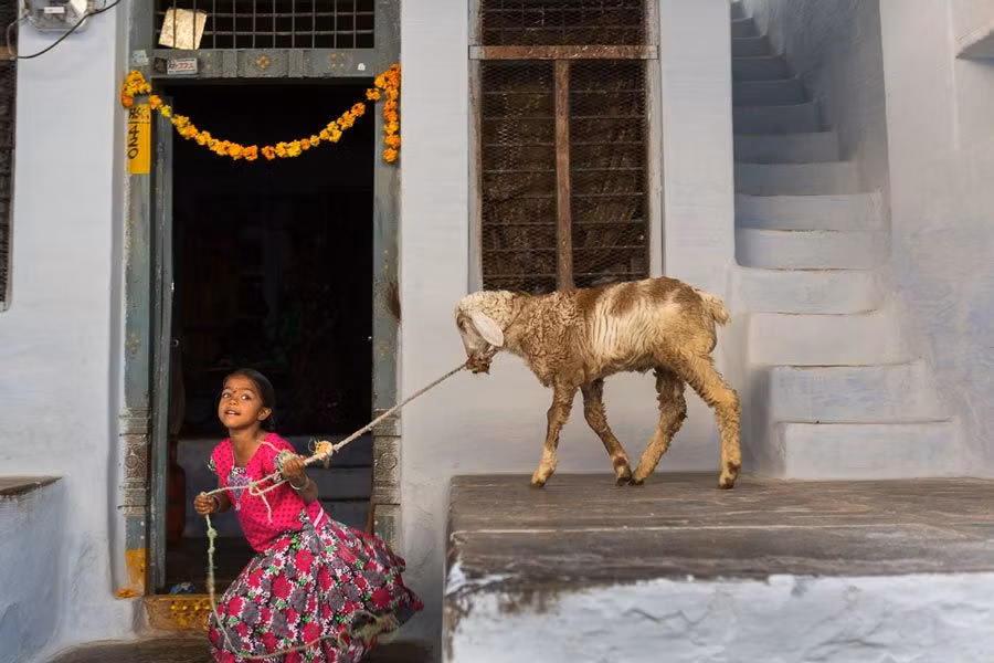 nina en tierra de sueños expo de india