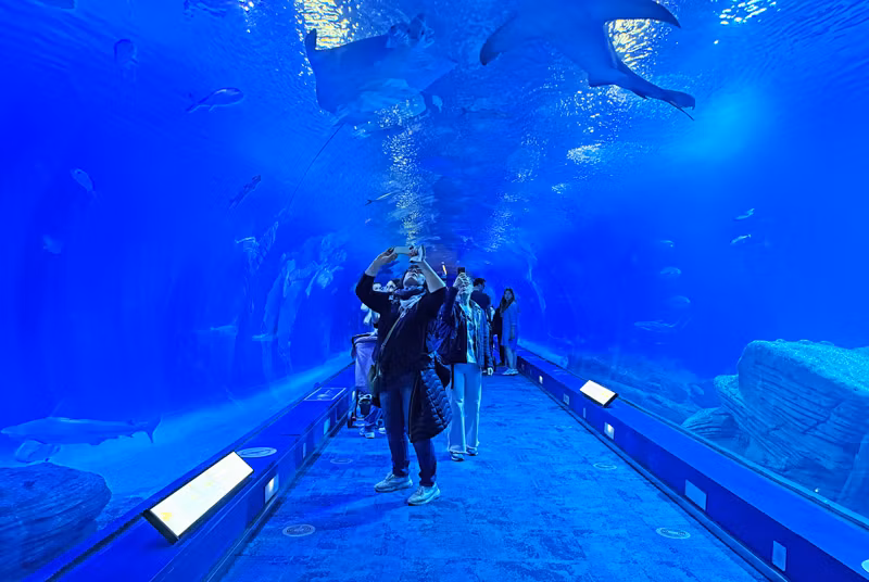 Gran túnel en la zona de los océanos.
