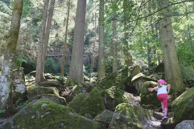 Camino a las cataratas de Triberg, en la Selva Negra.
