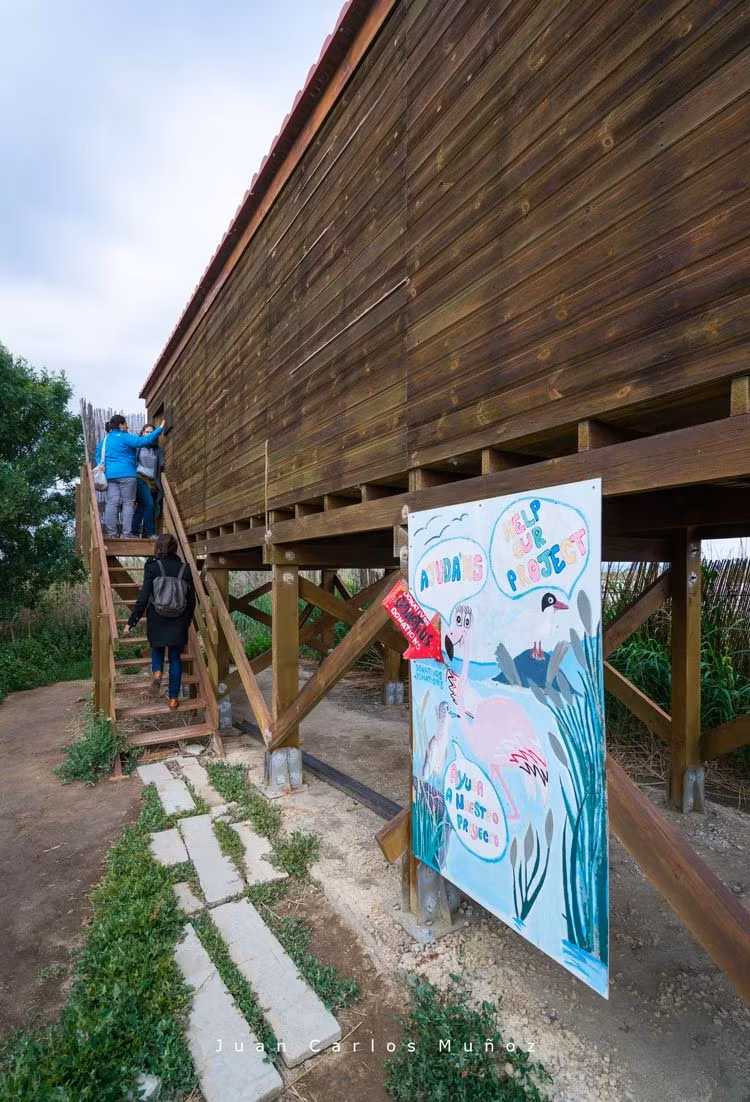 finca de arroz riet vell terres del ebre