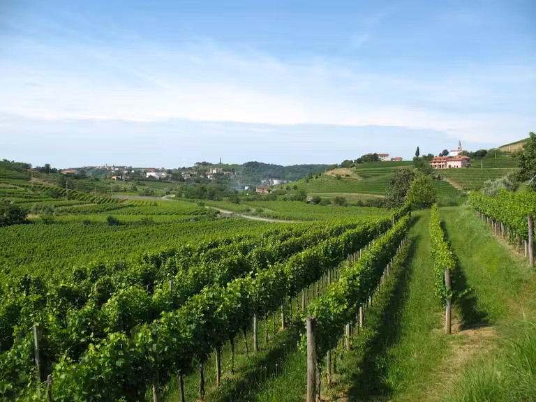 Goriška Brda en Eslovenia