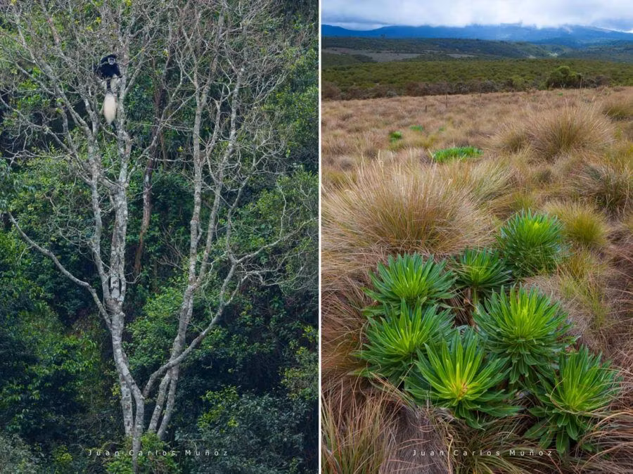 que ver en kenia aberdare