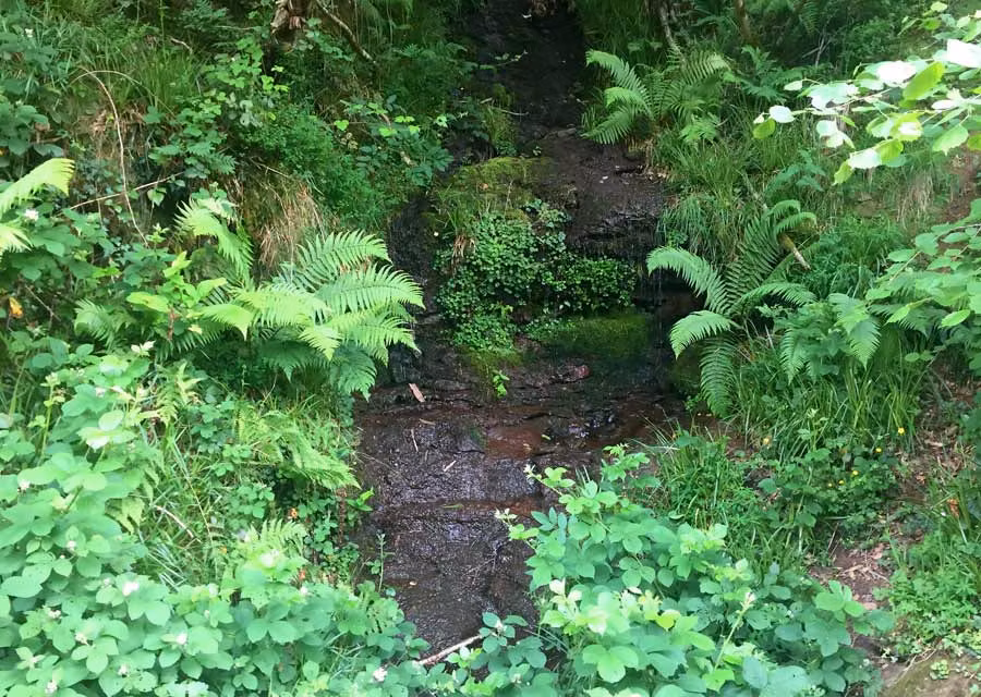 ruta tunel engana, ruta senderismo cantabria