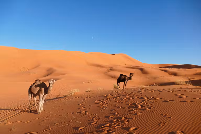 Merzouga, en el desierto del Sahara.