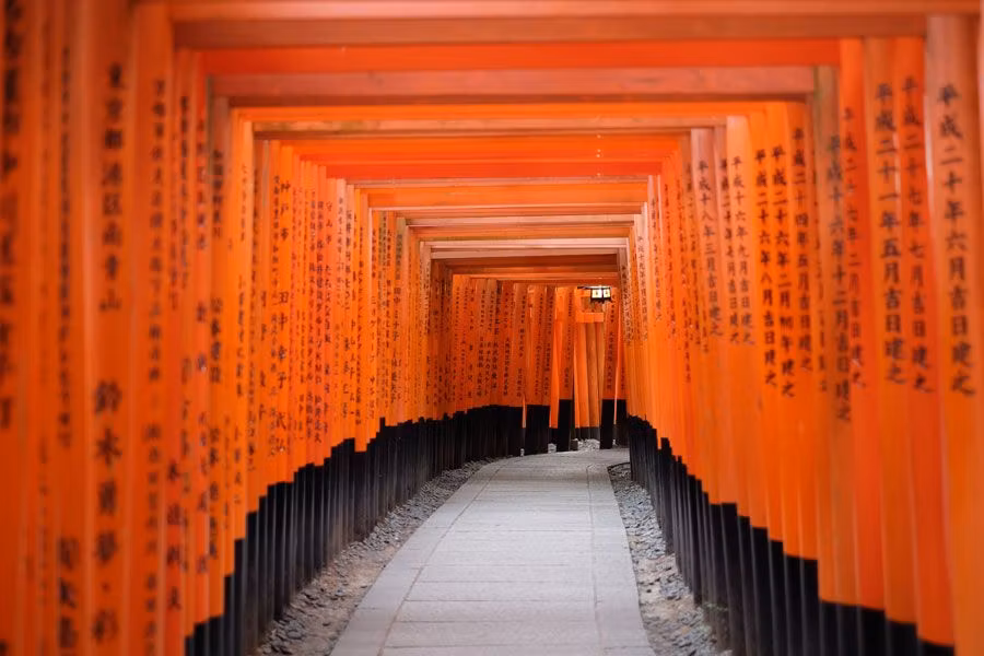 Camino de toris en Fushimi Inari, en Kioto.