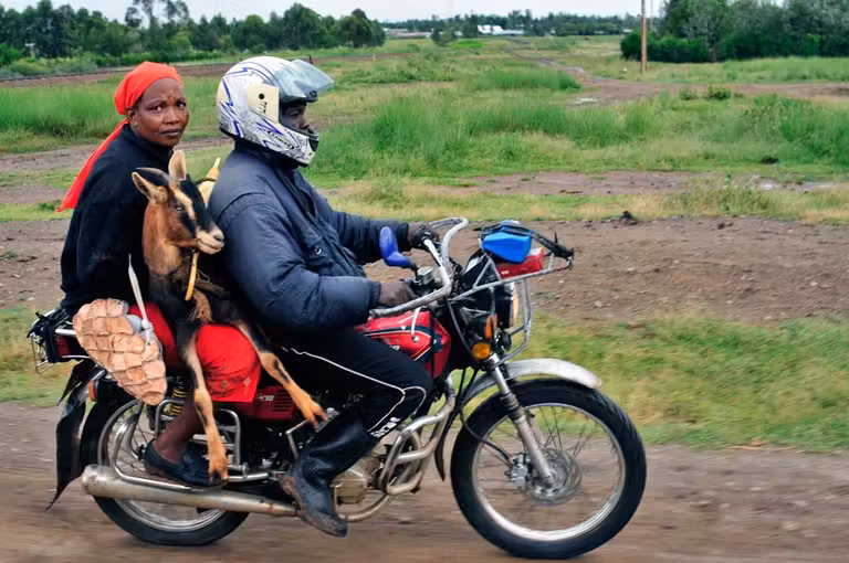 lago turkana, viaje a kenia