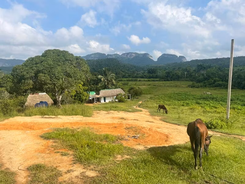 Valle de Viñales.