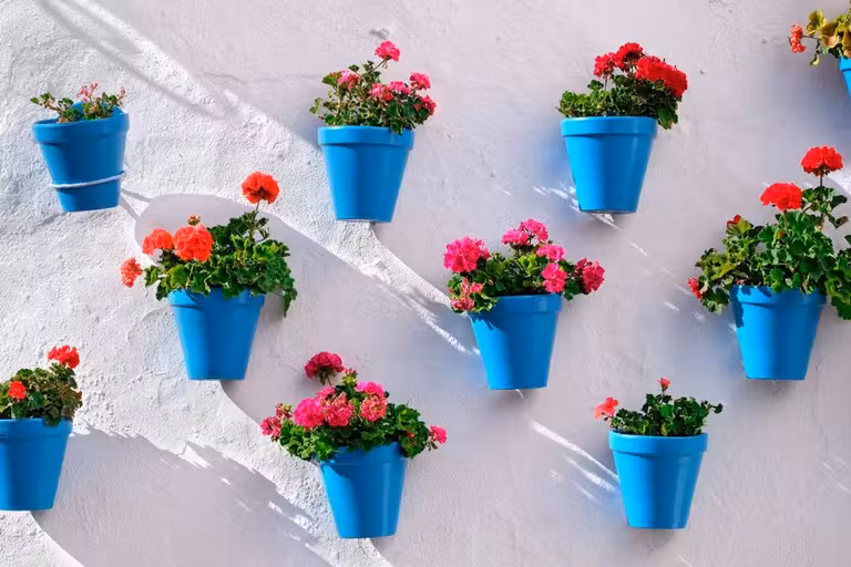 Fin de semana en Marbella con amigas