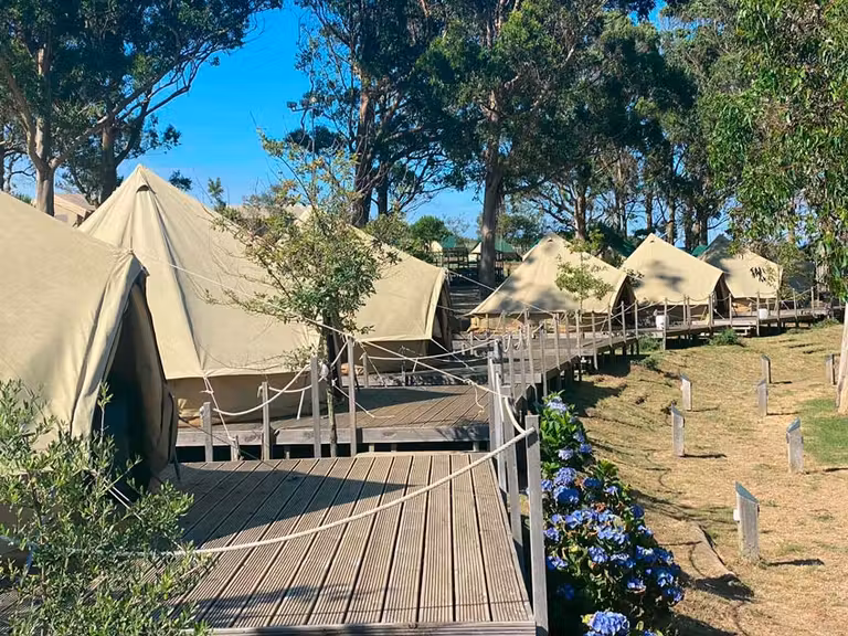 Campamento en isla de Ons (Galicia).