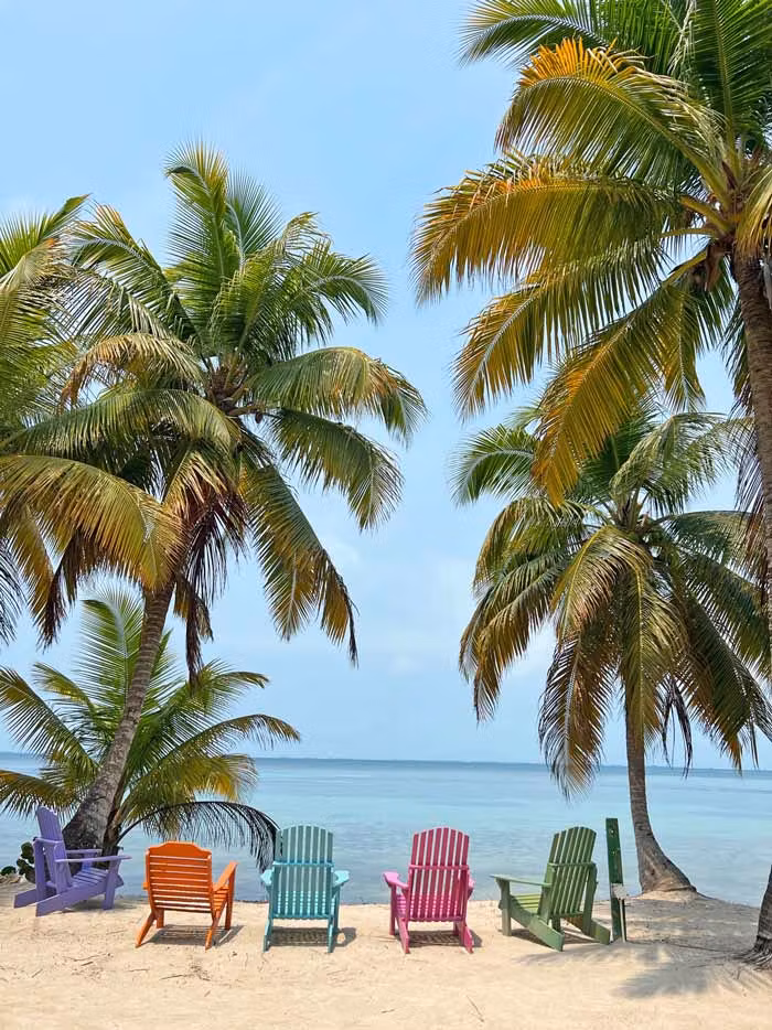 sillas en South West Caye Marine Reserve
