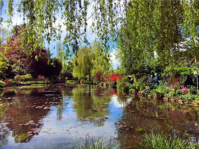 Jardín del Agua de Monet.