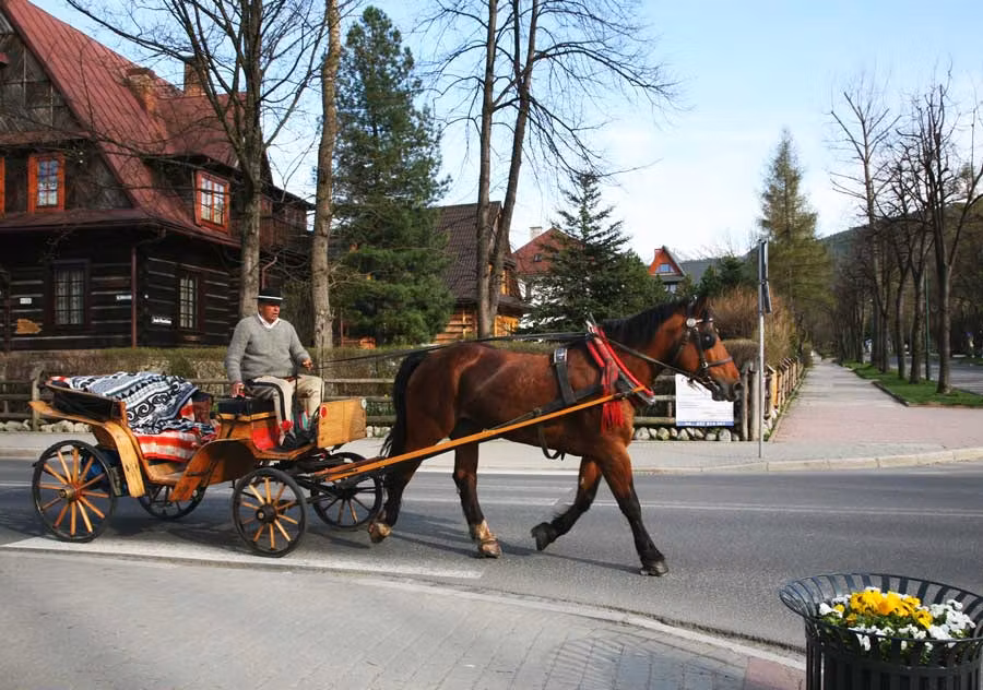 calesa de Zakopane