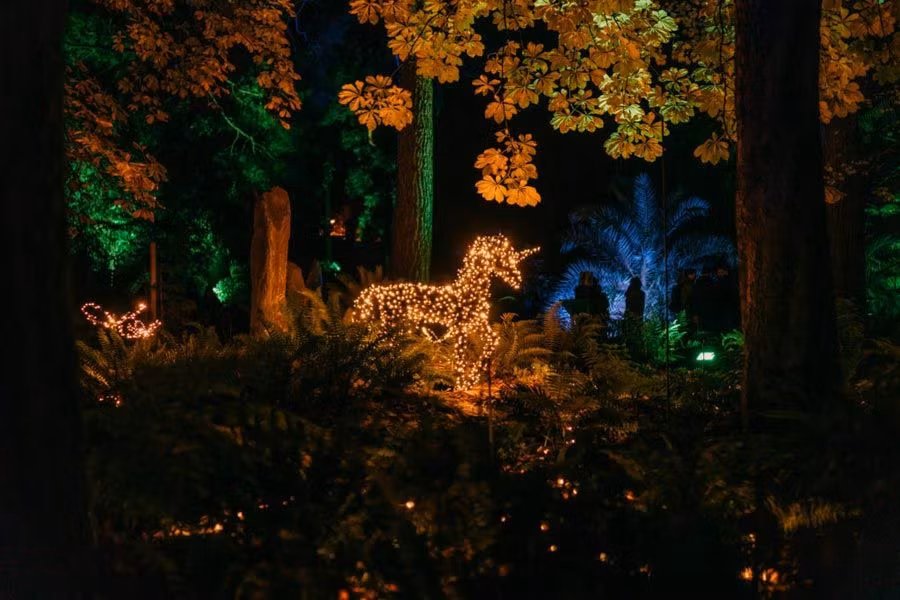 jardin botanico, navidad en madrid
