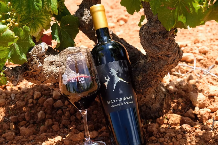 Gold Rupestre, de la Cooperativa Santa Cruz de Alpera.