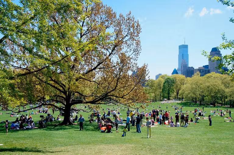 Nueva York con niños, viajes en familia, escapadas con niños