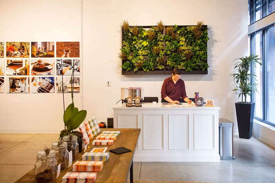 chocolateria harper macaw, que ver Washington, viaje amigas Washington