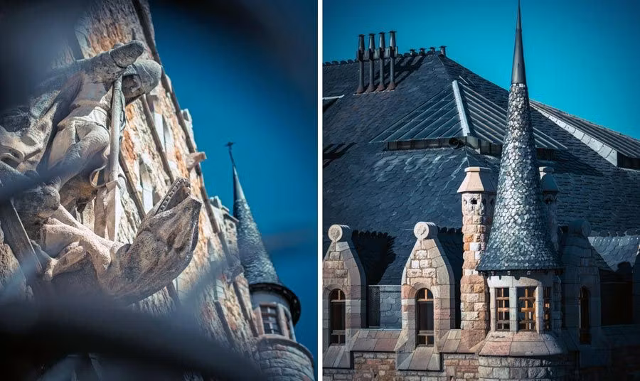 dragon y torre de casa botines