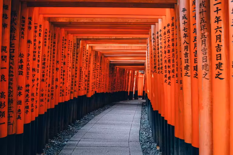Sucesión de torii en el santuario de Fushimi Inari