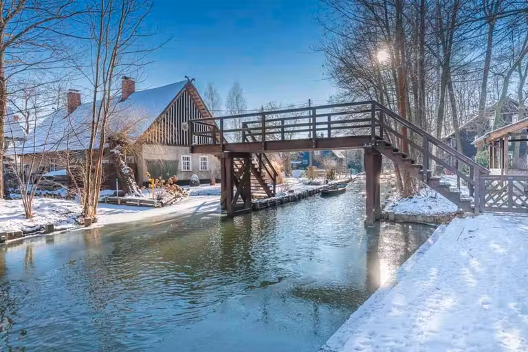 Bosque nevado en Alemania.