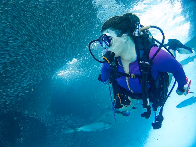 Una submarinistas se encuentra rodeada de peces