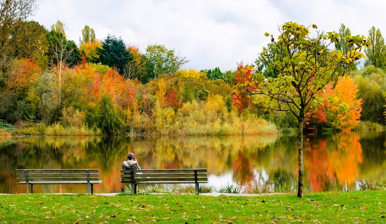 Otoño en Vancouver. © Larry Nalzaro