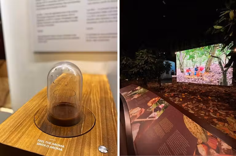 burbuja para sentir el aroma del chocolate y espacio audiovisual