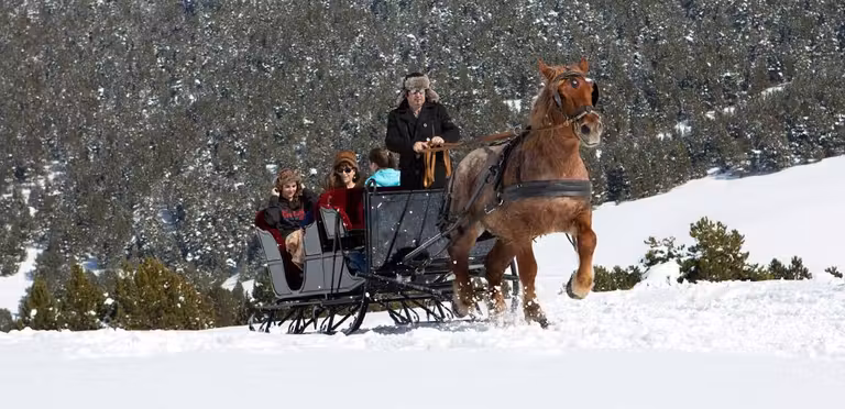 trineo de caballos