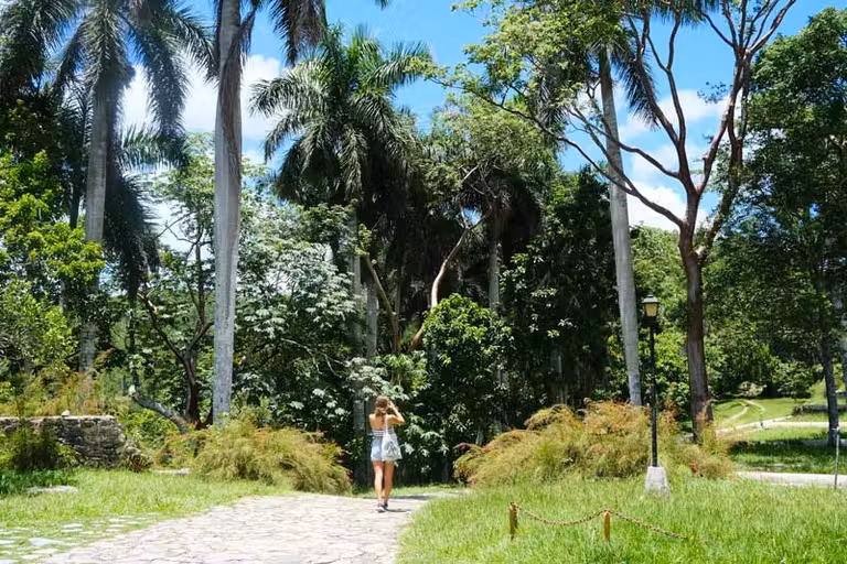 Las Terrazas y Viñales, descubre el corazón más verde de Cuba