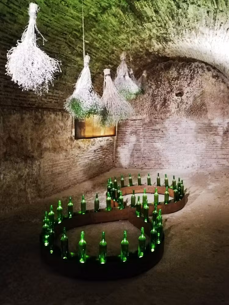 interior bodega de los frailes