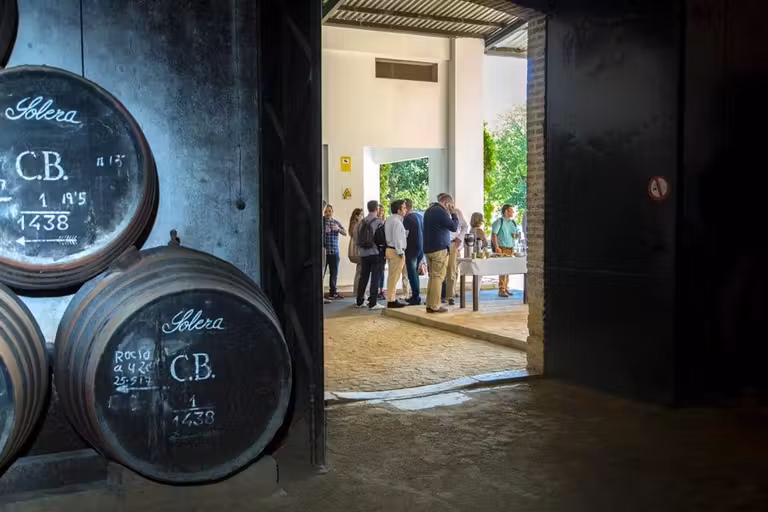 bodegas alvear montilla moriles