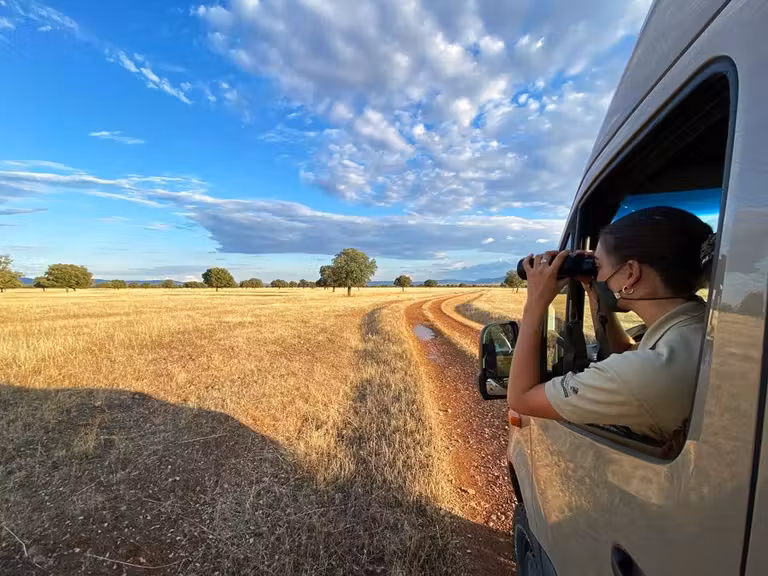ruta coche parque cabaneros comarca entreparques