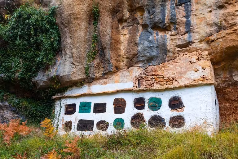 colmenas en gredilla de sedano burgos