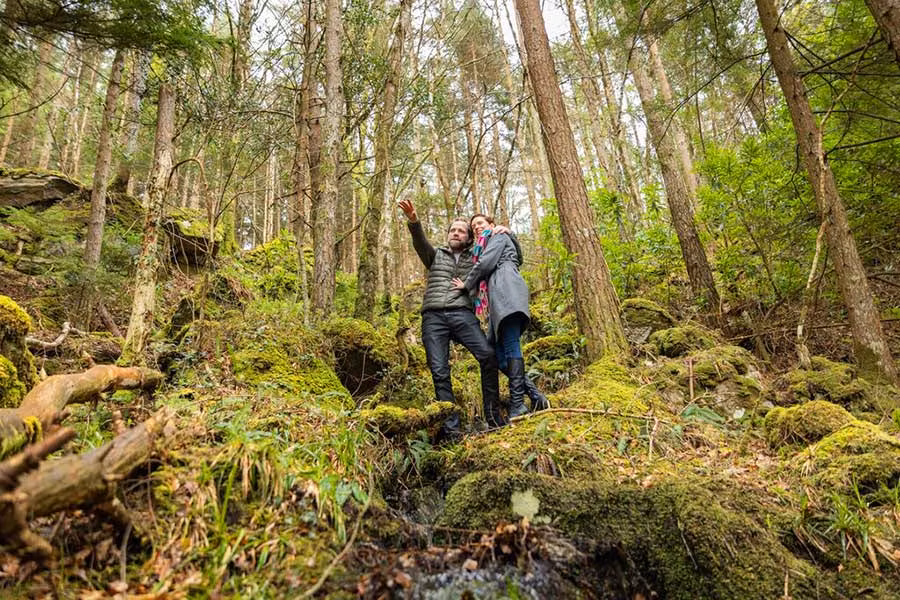 Sligo, el condado irlandés que enamoró a William Butler Yeats